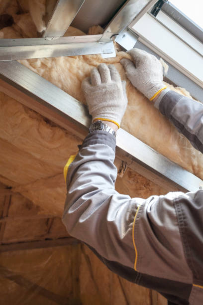 Eco-Friendly or Green Insulation Solutions in Inman, SC